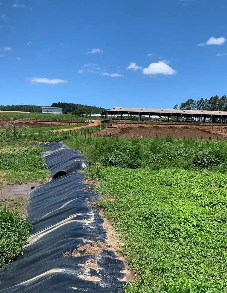 Confinamento bovino licenciado no Rio Grande do Sul