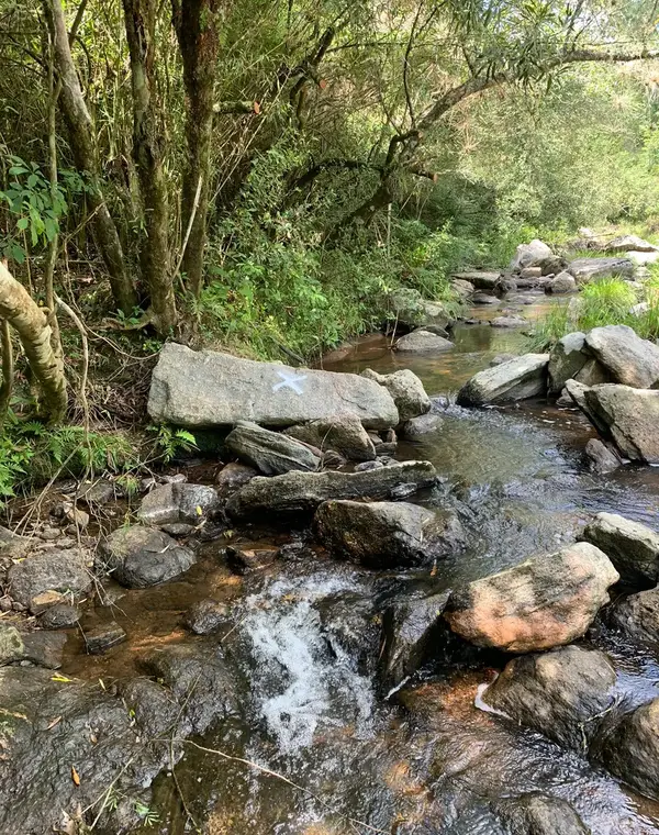 Arroio com mata nativa em área avaliada em processo de defesa ambiental
